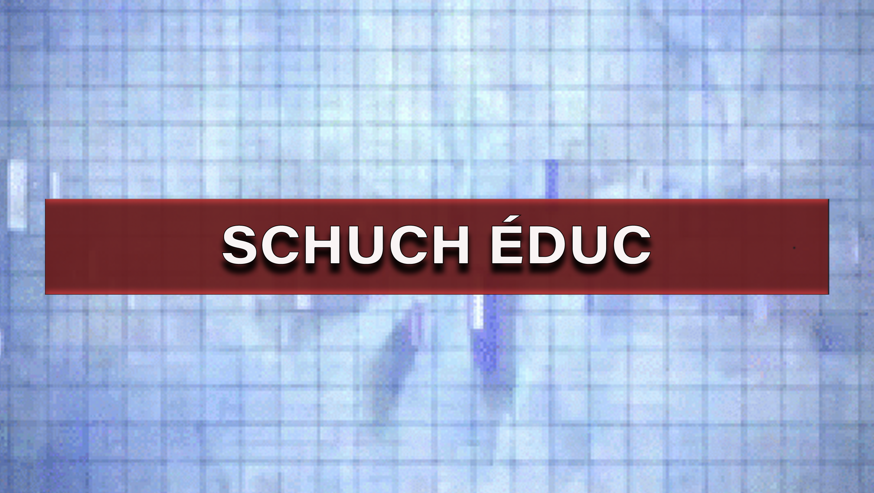 VISUEL_SCHUCHÉDUC