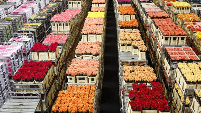Marché aux roses